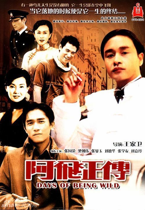 教育学院本科毕业证